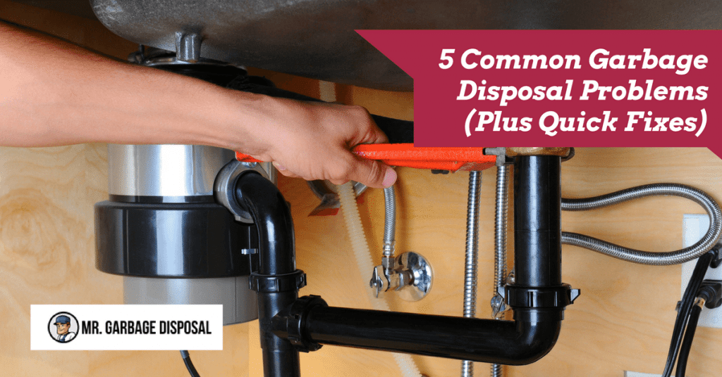 5 Common Garbage Disposal Problems Plus Quick Fixes 2019